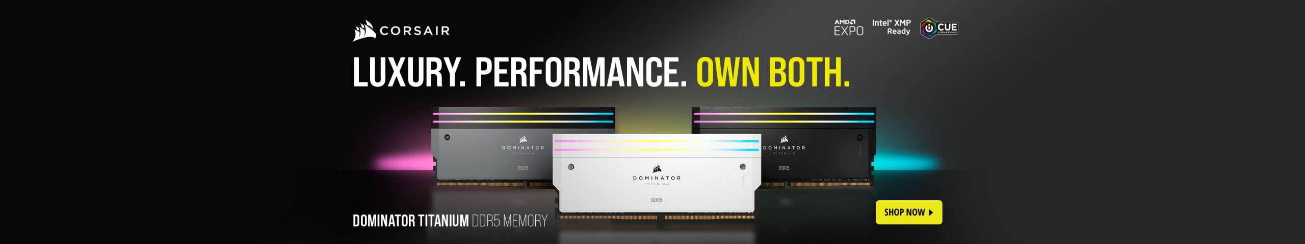Memory (RAM)