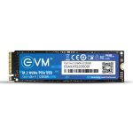 EVM 128GB NVME M.2 INTERNAL SSD