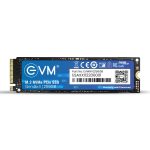 EVM 256GB NVMe M.2 SSD