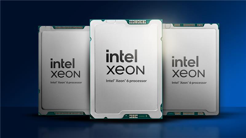 Server Processor