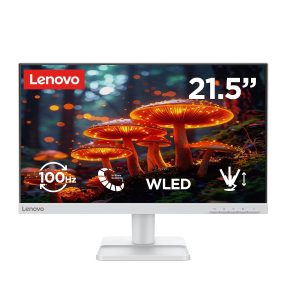Lenovo L22-42 | 21.5" (54.6cm) FHD (1920x1080) IPS 100Hz Monitor | 68FAKAC6IN